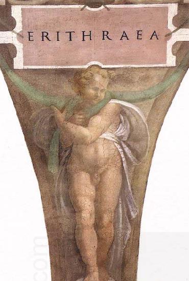 Michelangelo Buonarroti The Erythraean Sibyl China oil painting art